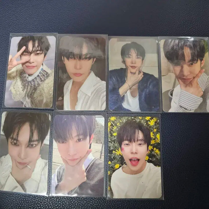nct 엔시티 127 도영 포카 일괄 양도 판매