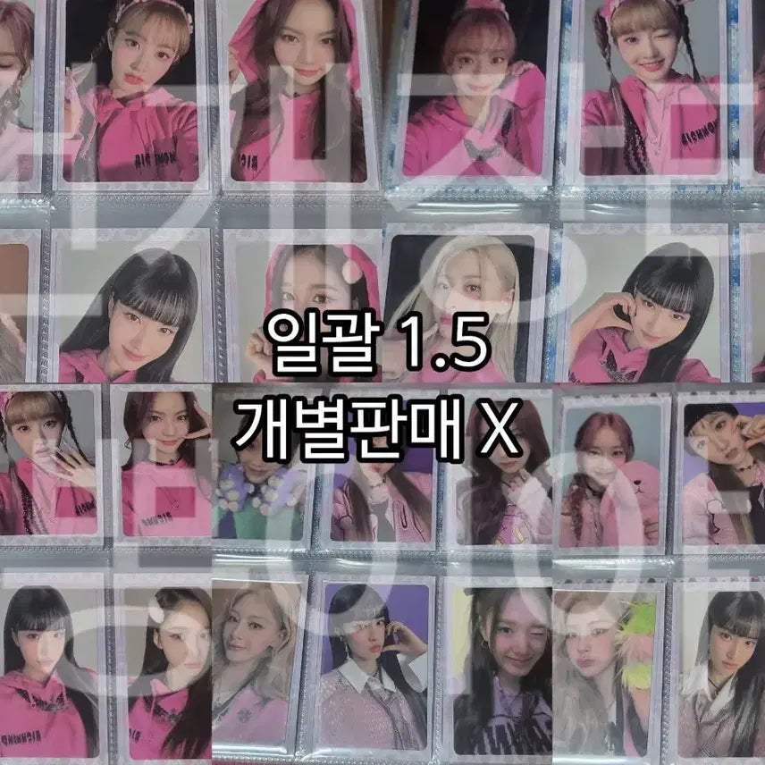 스테이씨 테디베어 앨범 포토카드 일괄