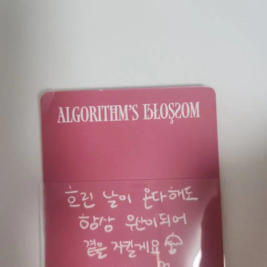 qwer 알고리즘 블라썸 앨범