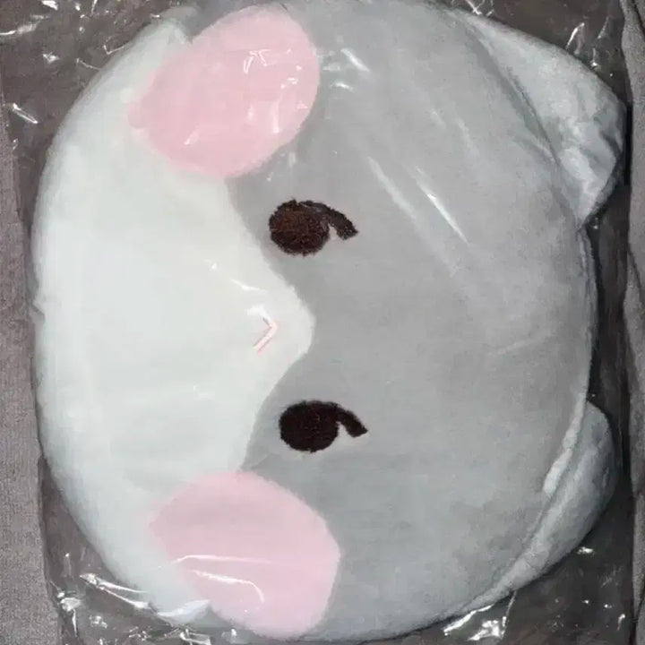 샤이니 태민 꿍이 가방