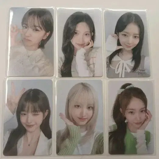 아이브 파파조스 포카 6장 세트