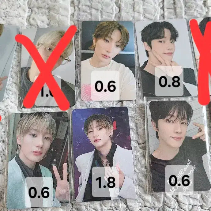 라이즈 포토카드 재팬 콘서트 양도