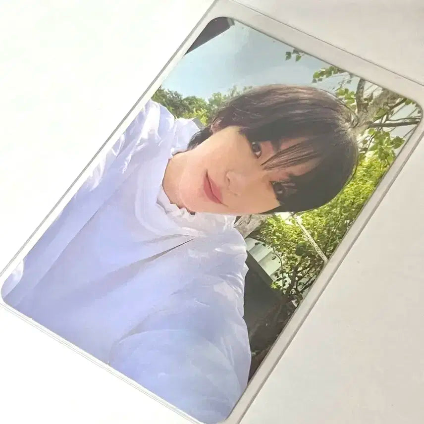앤톤 겟어기타 앨포 양도