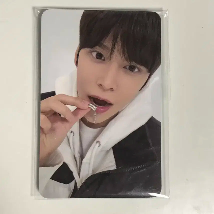 풀세트) 라이즈 은석 2024 생일 포카 케이크 홀더 일괄 풀셋 양도