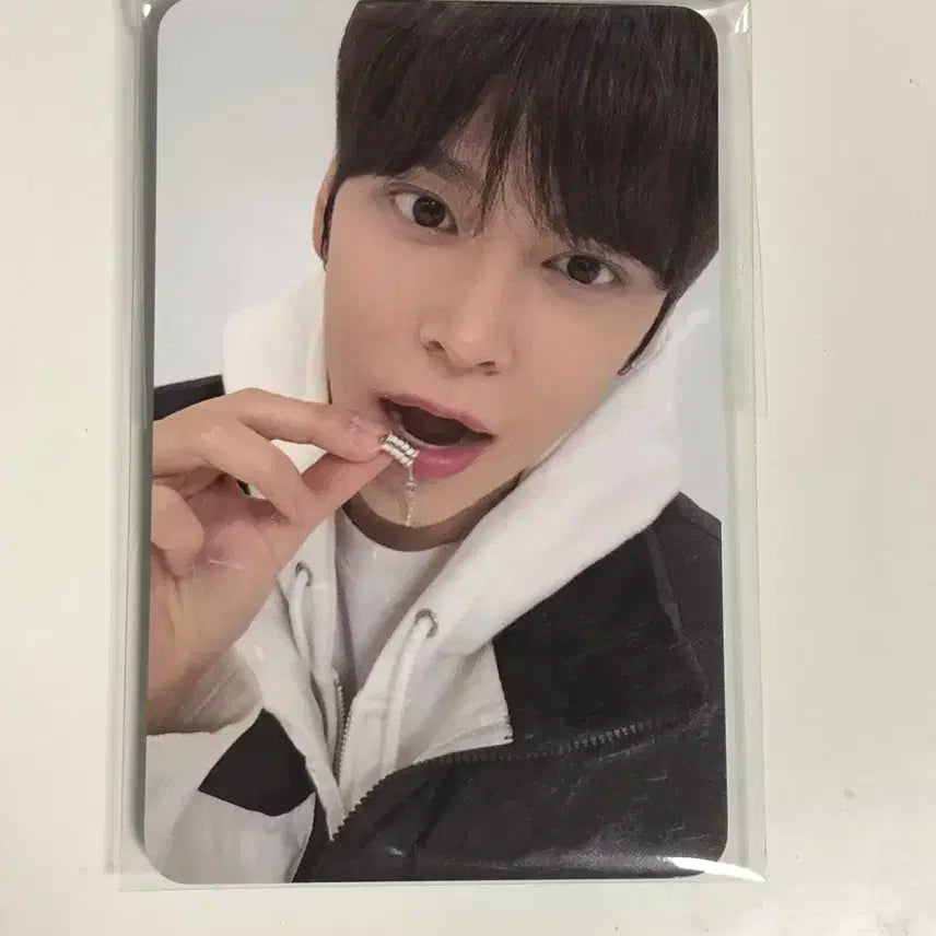 풀세트) 라이즈 은석 2024 생일 포카 케이크 홀더 일괄 풀셋 양도