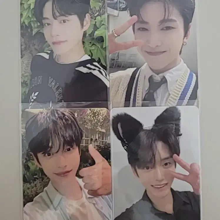 급처)덤증정!제베원 포카 일괄 양도 네컷사진