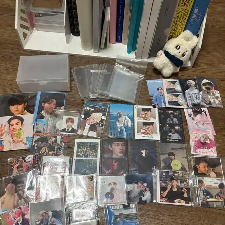세븐틴 앨범 일괄 양도 + 포카드볼 바인더 + 비공굿 + 인형