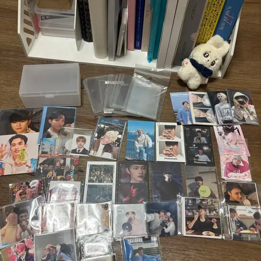 세븐틴 앨범 일괄 양도 + 포카드볼 바인더 + 비공굿 + 인형