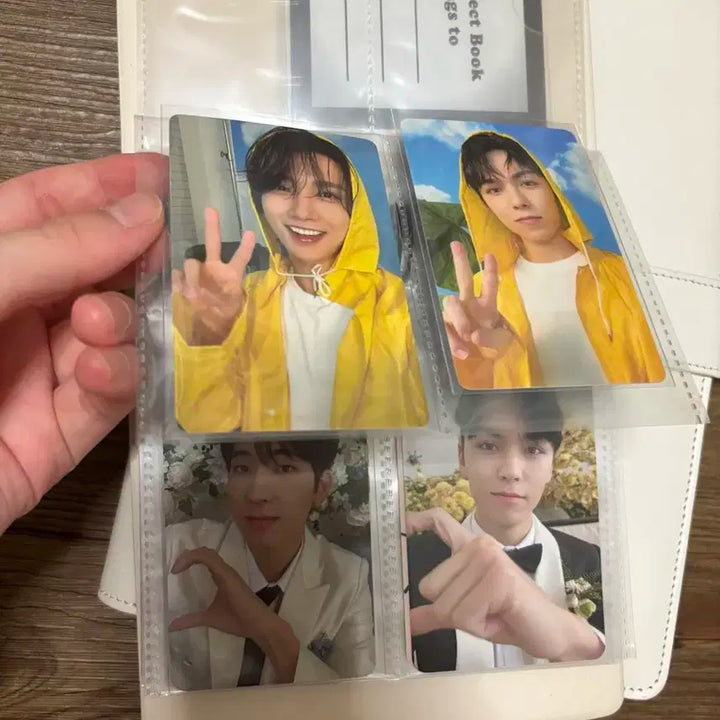 세븐틴 앨범 일괄 양도 + 포카드볼 바인더 + 비공굿 + 인형