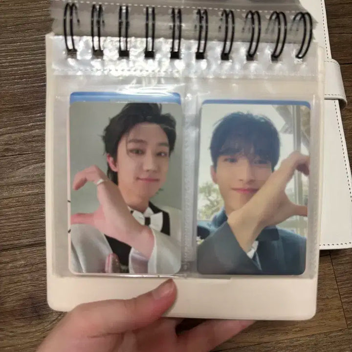 세븐틴 앨범 일괄 양도 + 포카드볼 바인더 + 비공굿 + 인형