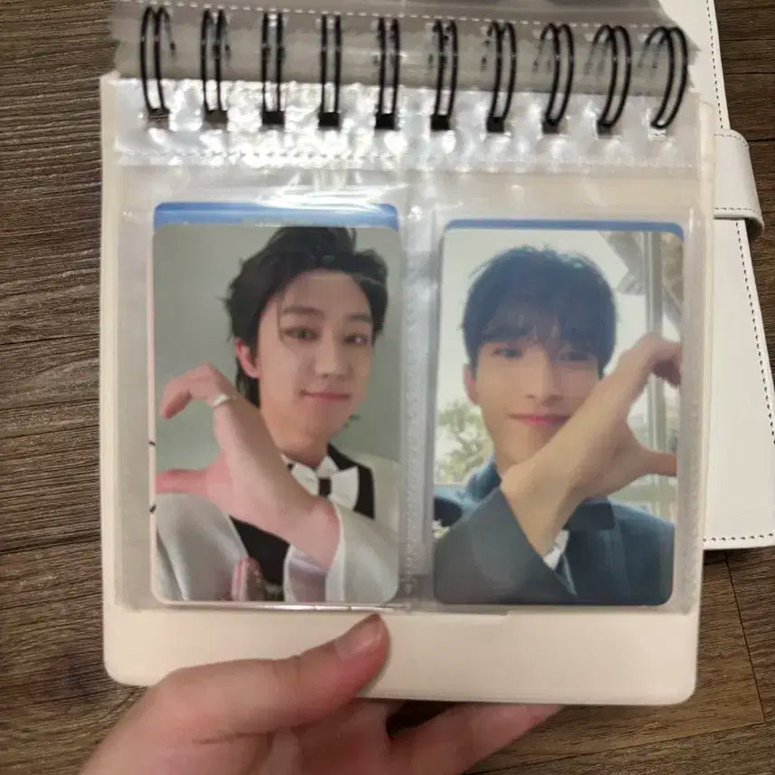 세븐틴 앨범 일괄 양도 + 포카드볼 바인더 + 비공굿 + 인형