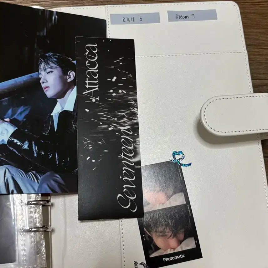 세븐틴 앨범 일괄 양도 + 포카드볼 바인더 + 비공굿 + 인형