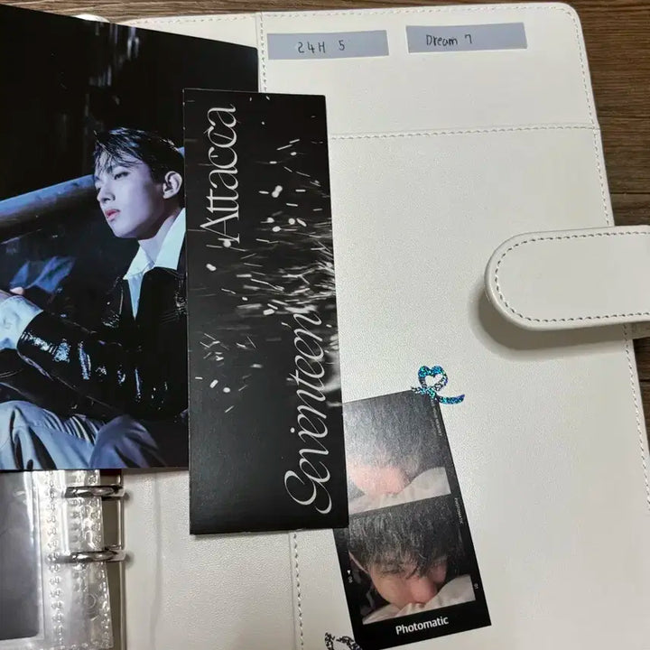 세븐틴 앨범 일괄 양도 + 포카드볼 바인더 + 비공굿 + 인형