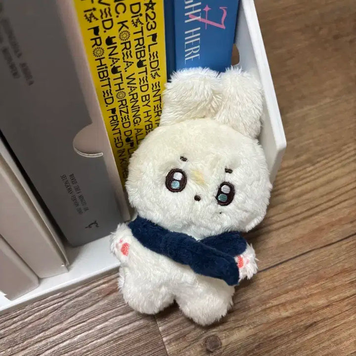 세븐틴 앨범 일괄 양도 + 포카드볼 바인더 + 비공굿 + 인형