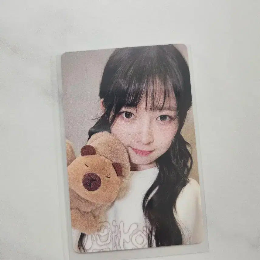 아이브 레이 엠파시 이즈위 카피바라 포토카드