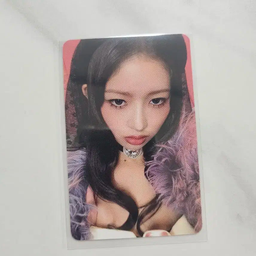 아이브 시크릿 레이 애플뮤직 사전예약판매 포토카드