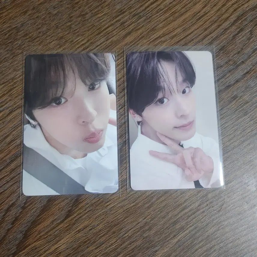 엔시티 위시 리쿠 포카 일괄