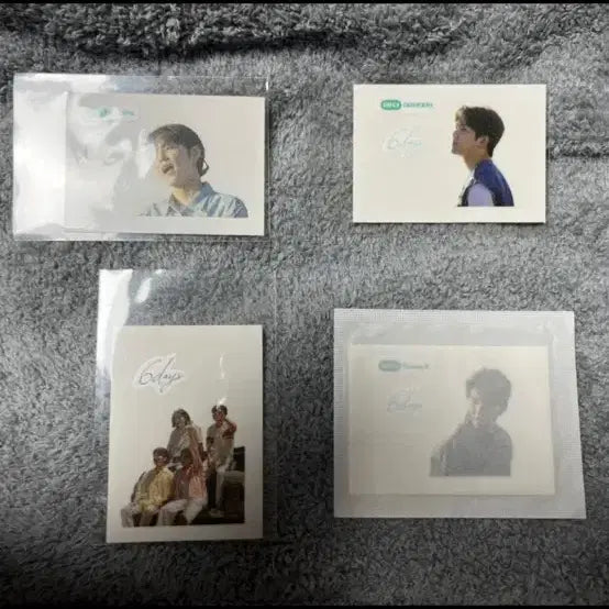 데이식스 식스데이즈 띠부씰 일괄