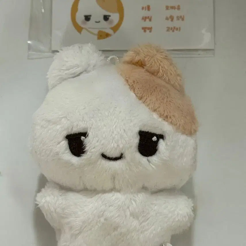 엔시티위시 유우시 인형 모짜유 양도