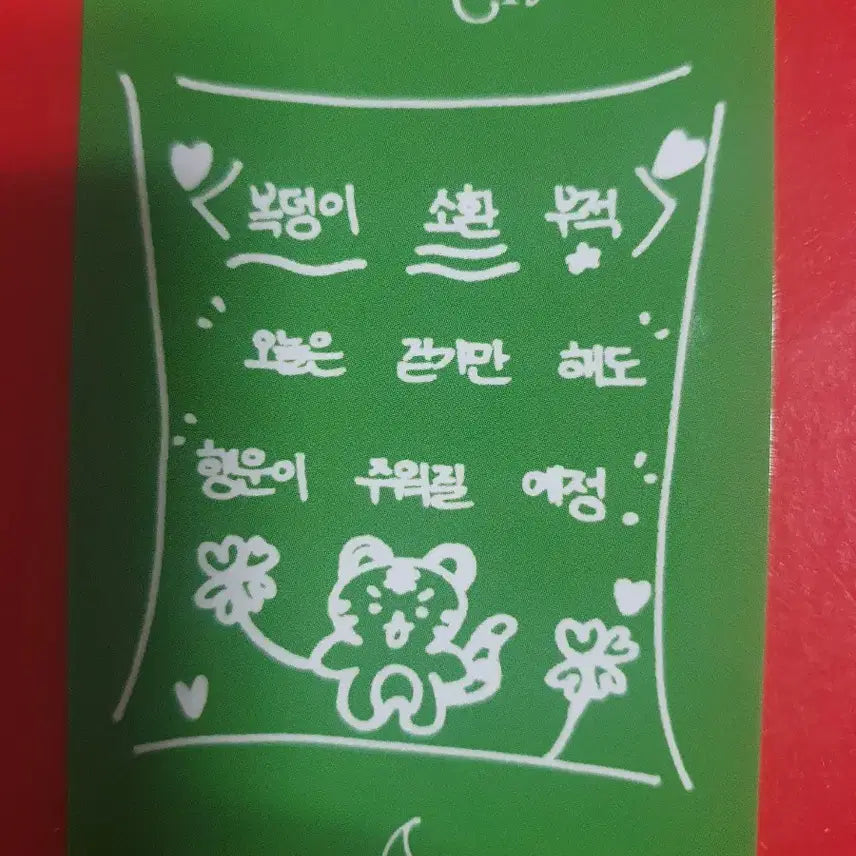 베이비돈크라이 베니 아육대 3종 포카세트