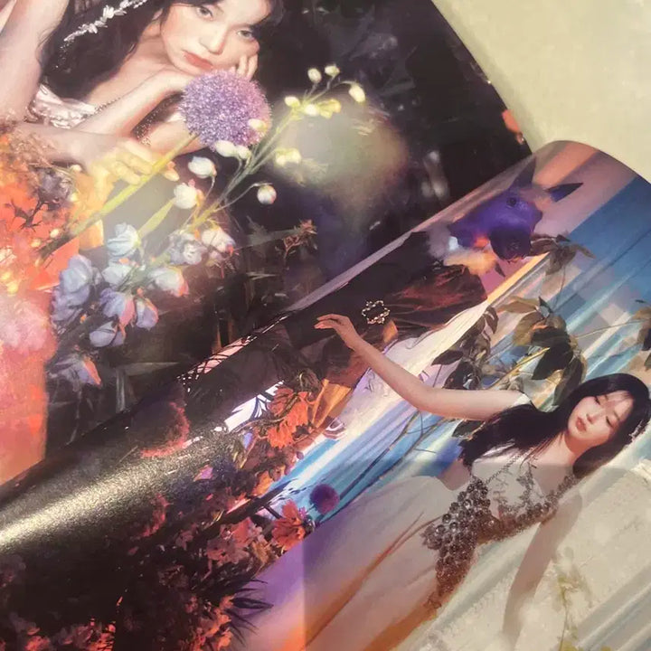 엔믹스  a midsummer 앨범