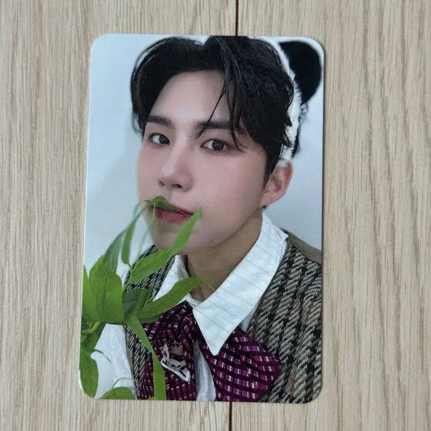 에이스 와우 마이걸 에버라인 에이바오 버전 미공포 특전 포카