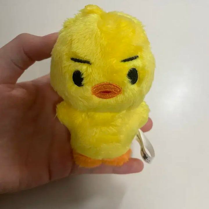 투바투 연준 인형 판매