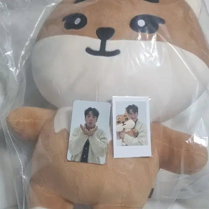 데이식스 데니멀즈 자이언트 케 영케이 인형 미개봉(폴라 포카 포함)