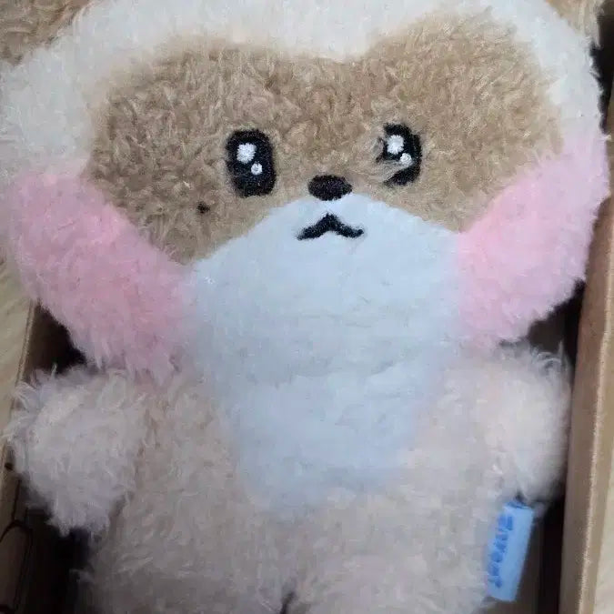 제로베이스원 제베원 장하오 인형 하니니 1기