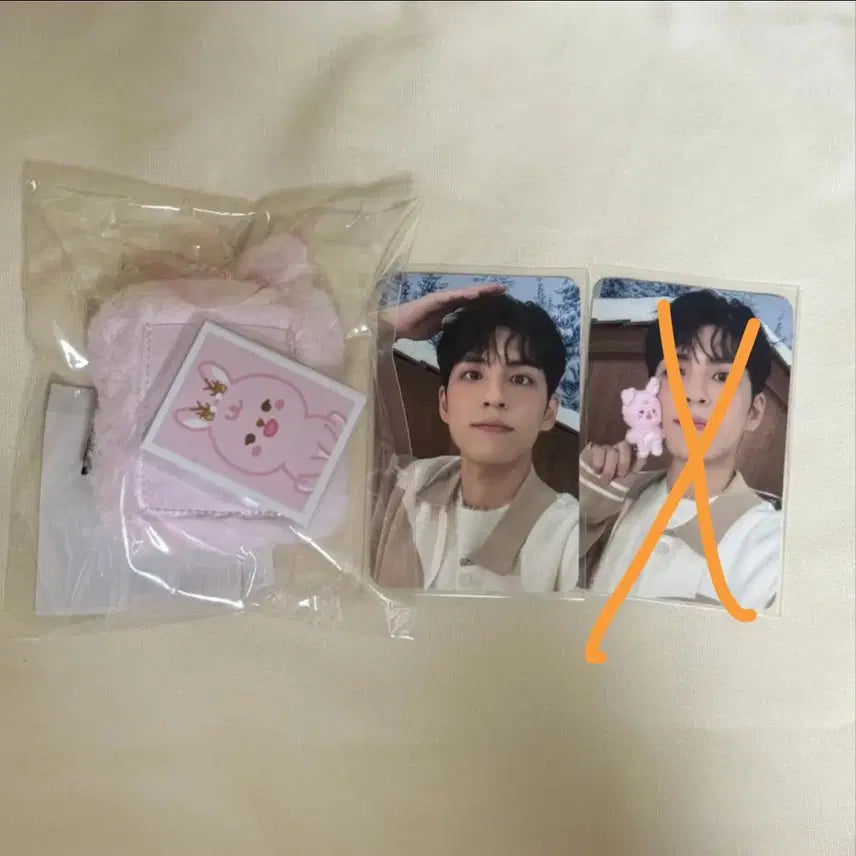 데이식스 원필 데니멀즈 아이디 포토 홀더 + 4만원포카