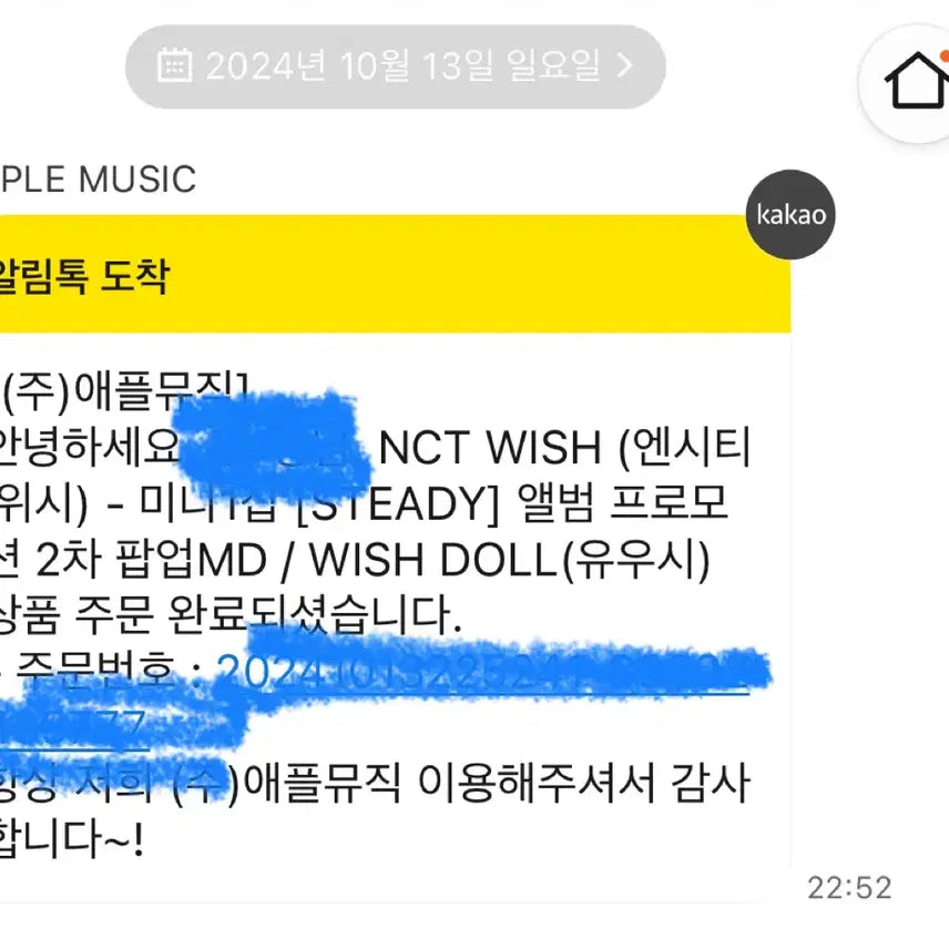 NCT WISH 위시돌 인형 버블냥