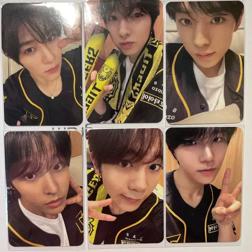 엔시티 위시 Steady 앨범 카카오톡 특전 set 일괄 판매