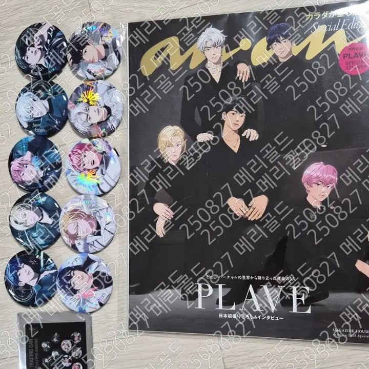 플레이브 대쉬 캔뱃지 드볼 앙앙잡지 빅포카