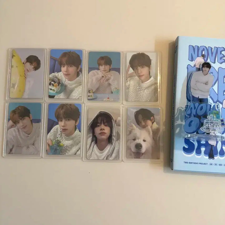 투어스 신유 , 도훈 포카 일괄 판매