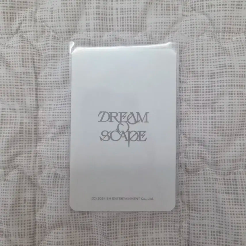 엔시티드림 지성 포카 더드림쇼3 포춘 dreamscape