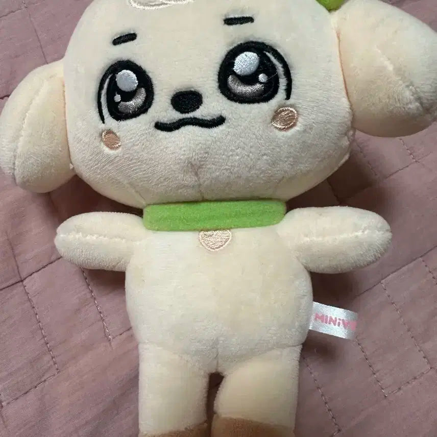 아이브 미니브강안지인형 판매
