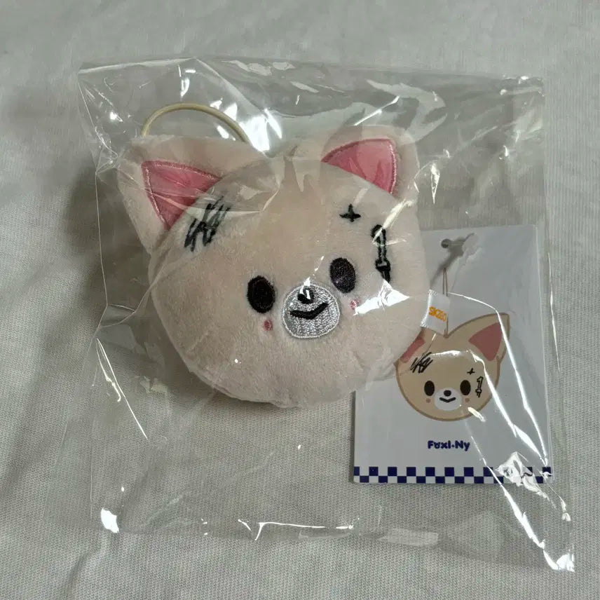 스트레이키즈 아이엔 폭시니 네임택 원가이하 양도