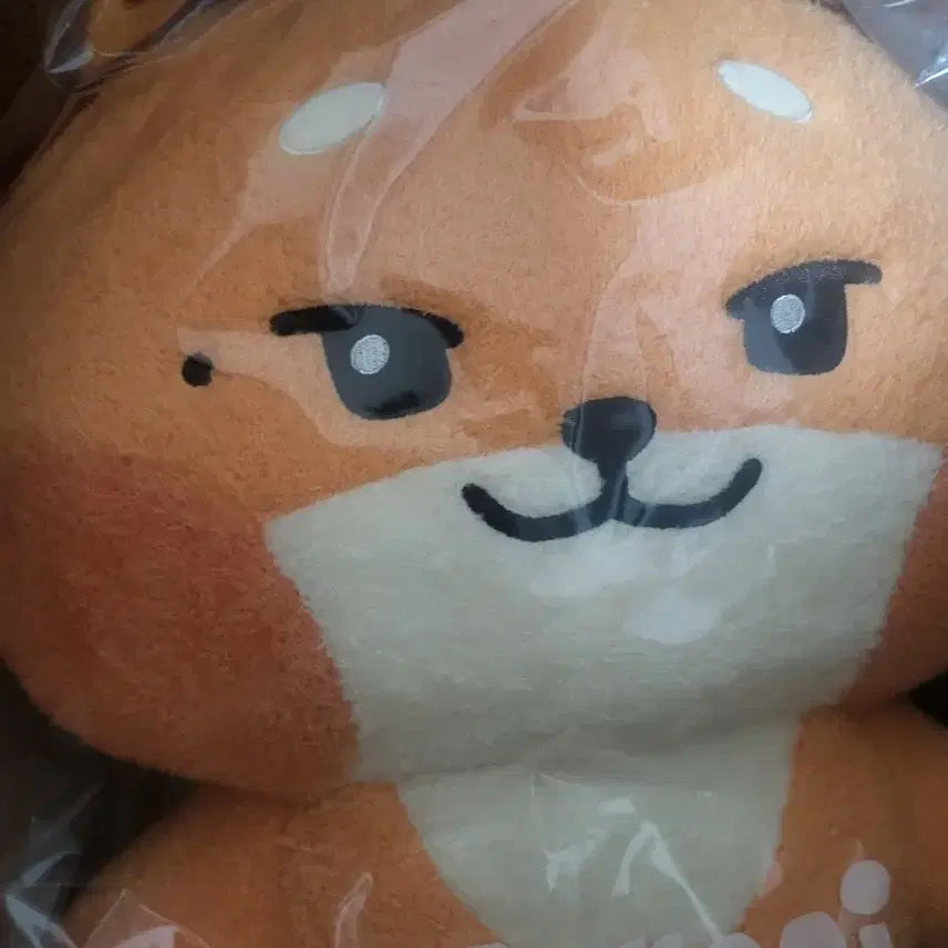 제로베이스원 튜니니 제로니 석매튜