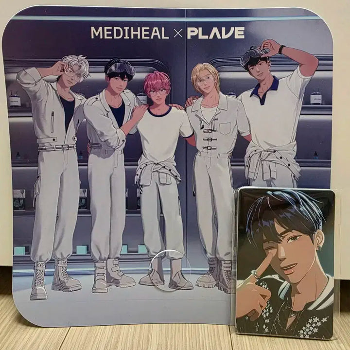 [포카+부채 일괄] 플레이브 콘서트 플리존 포카5인+메디힐 부채 양도