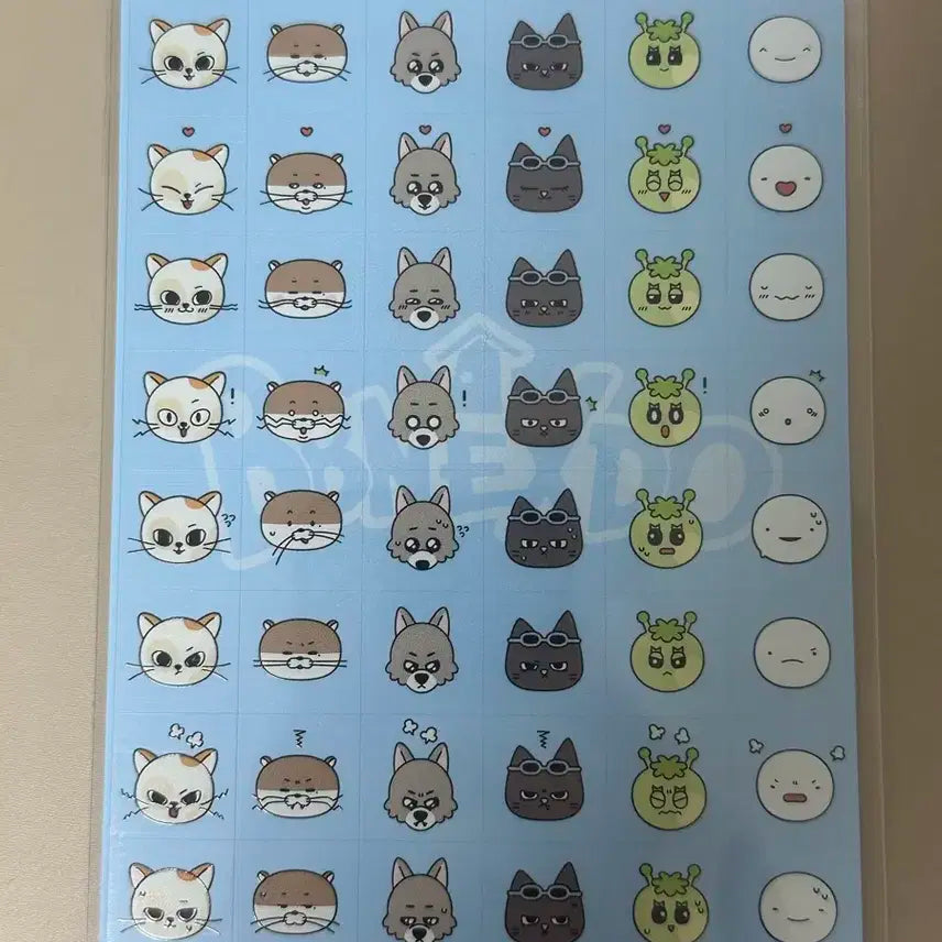 보이넥스트도어 쁘넥도 스티커