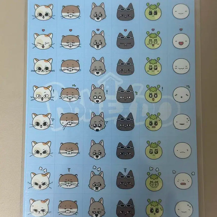 보이넥스트도어 쁘넥도 스티커