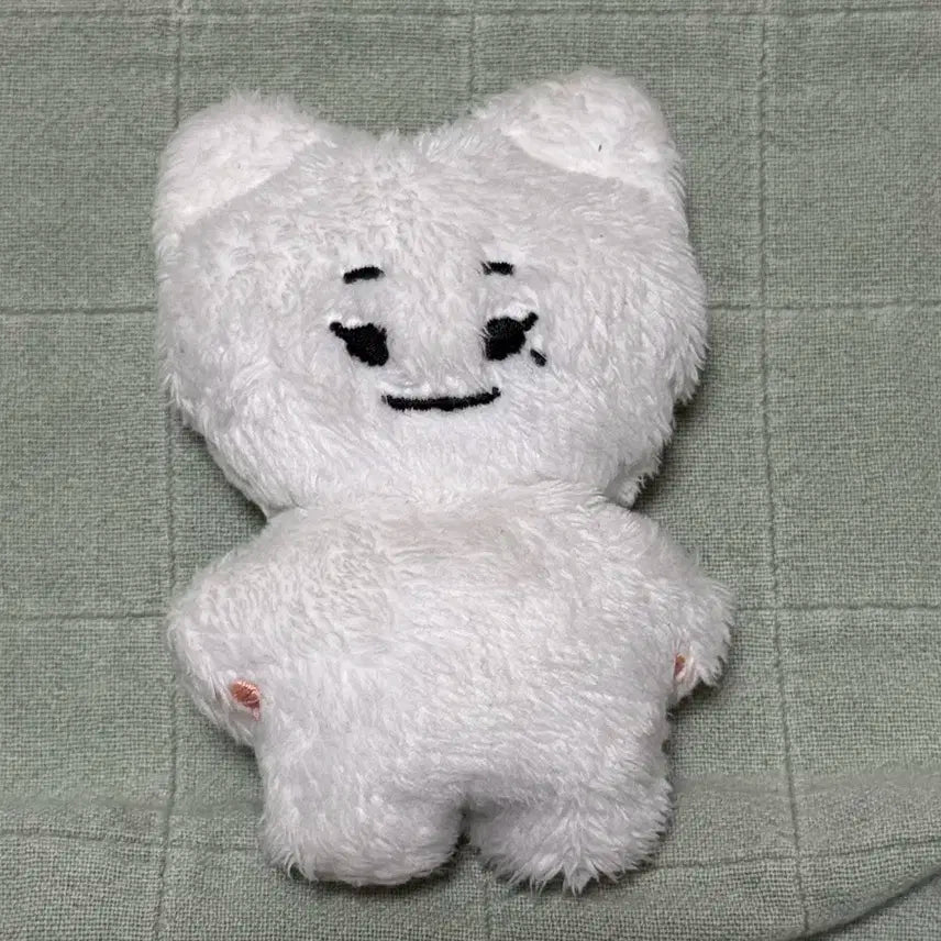 크래비티 정모 구정모 인형 미니쿠