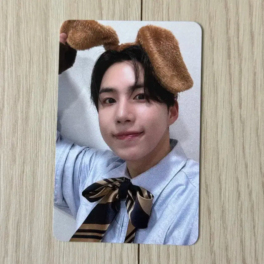 에이스 와우 김세윤 마이걸 에버라인 강쥐 버전 미공포 특전 포카