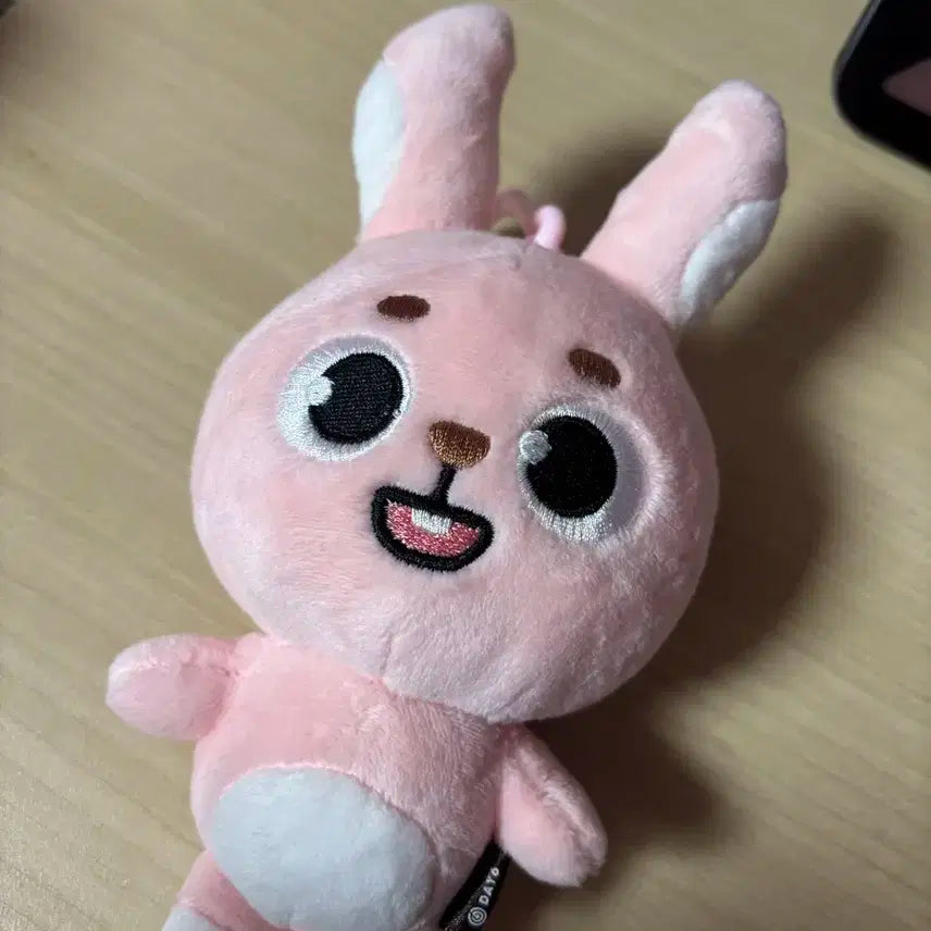 데이식스 데니멀즈 24필끼 급처