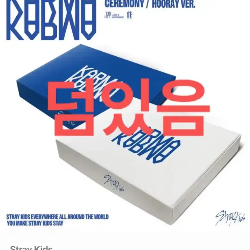 윳타쿠님 결제창 스키즈 카르마 앨범