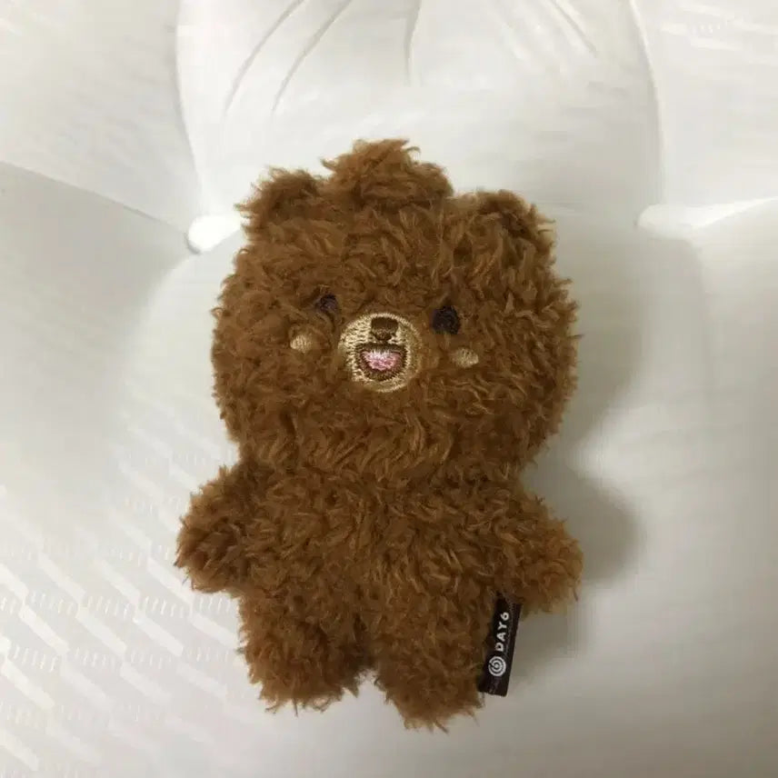 데이식스 쁘띠멀즈 마그넷ver 인형