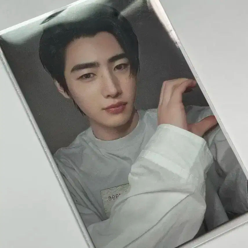 엔하이픈 YOI 일본앨범 성훈 포카 양도