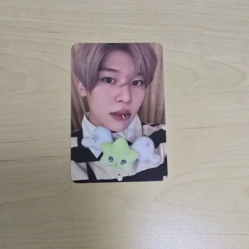 엔시티위시 시온 위츄 포카