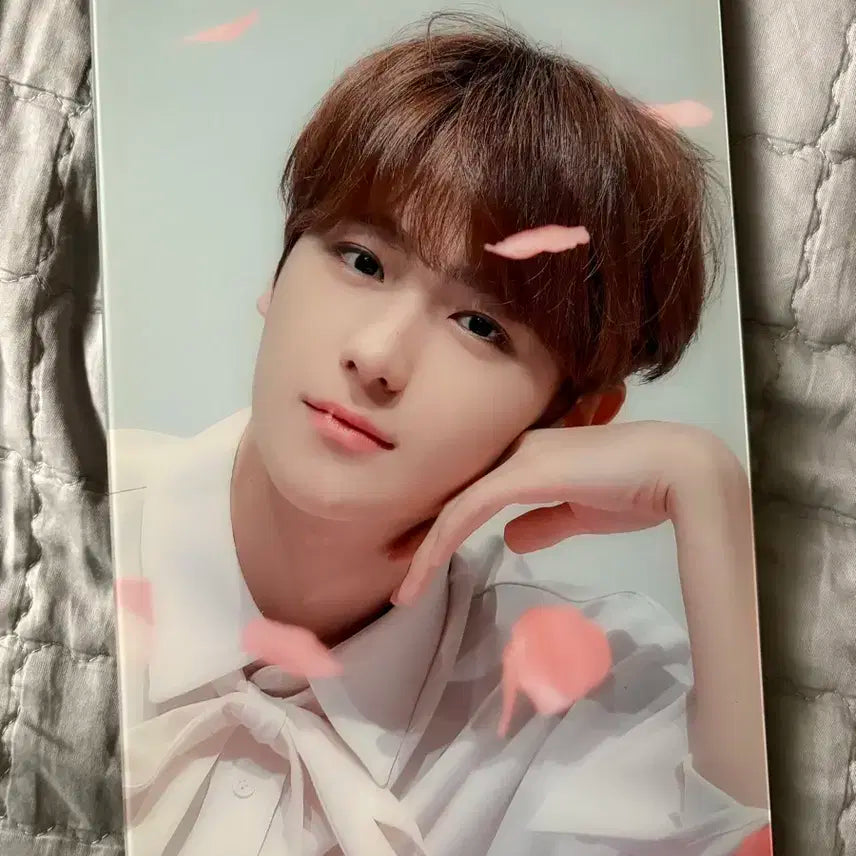 더보이즈 현재 xd 액자 판매합니다