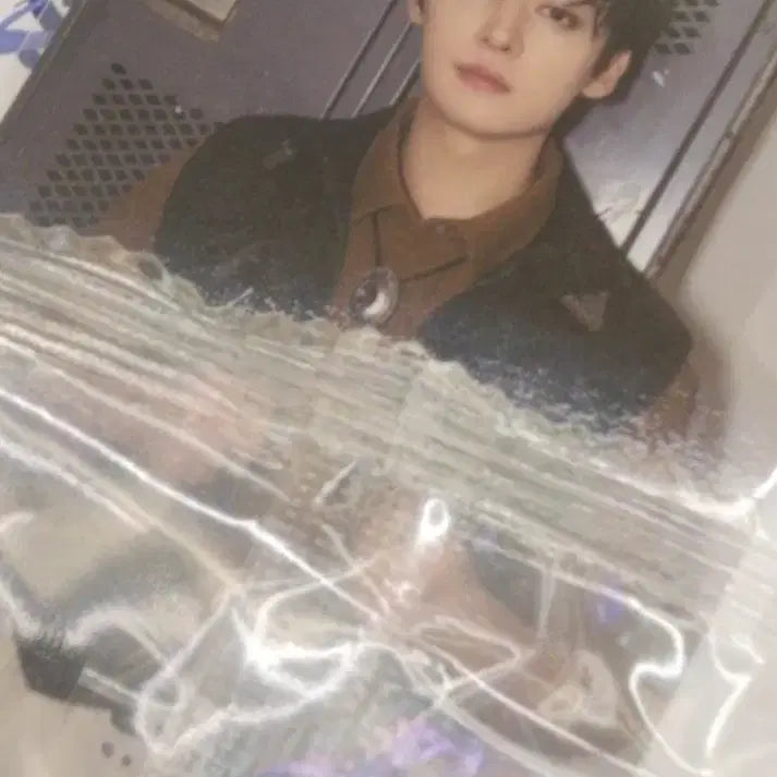 리노 karma 팝업 큐알 qr 포카
